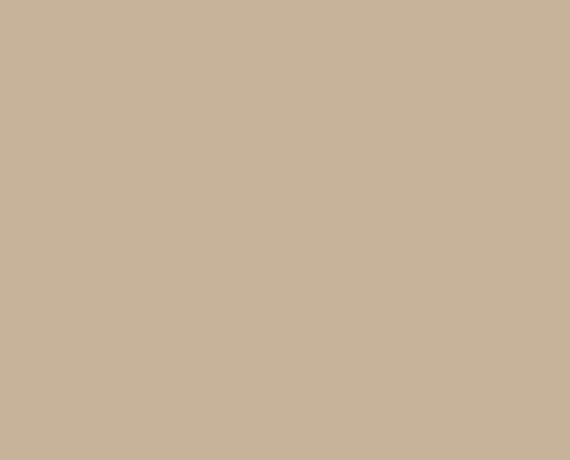Portfolio item 15