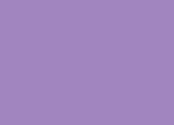 Portfolio item 9